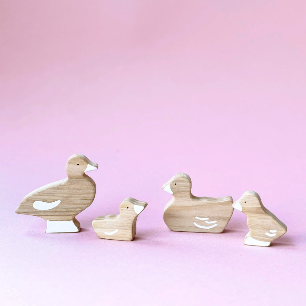 Set Animales Patitos