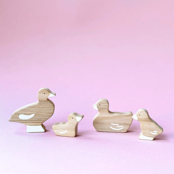Set Animales - Patitos