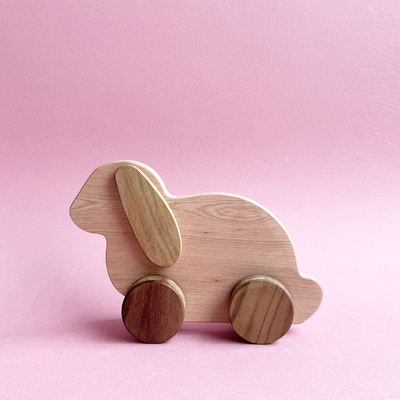 Rodantes Animales - Conejito