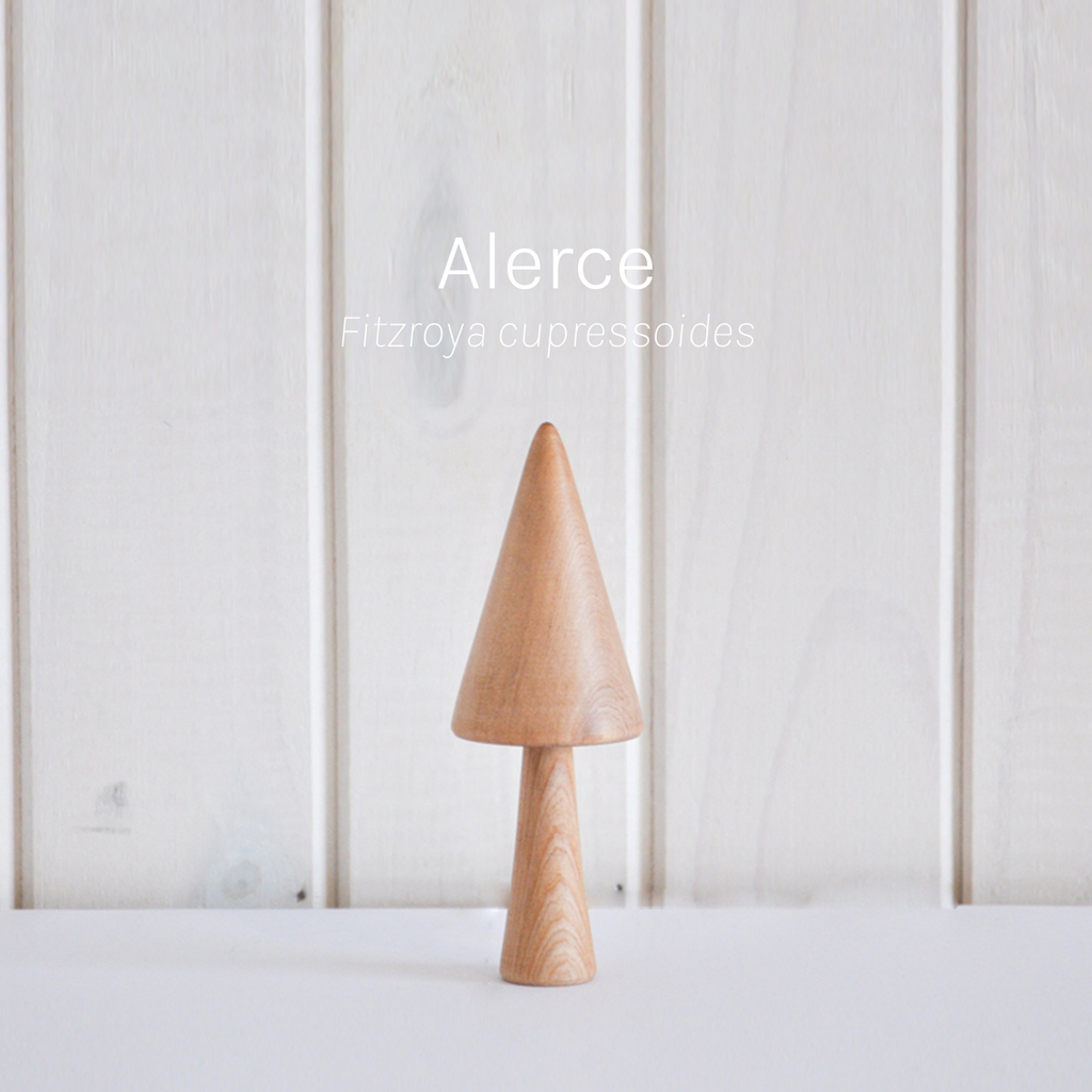 Torno - Set 3 Árboles Nativos de Chile