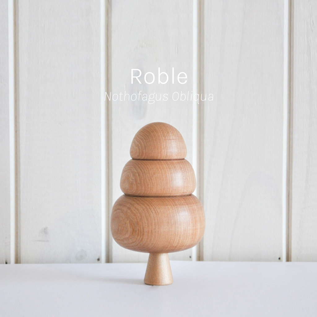 Torno - Set 3 Árboles Nativos de Chile