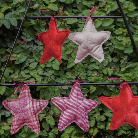 Navidad - Pino Fierro