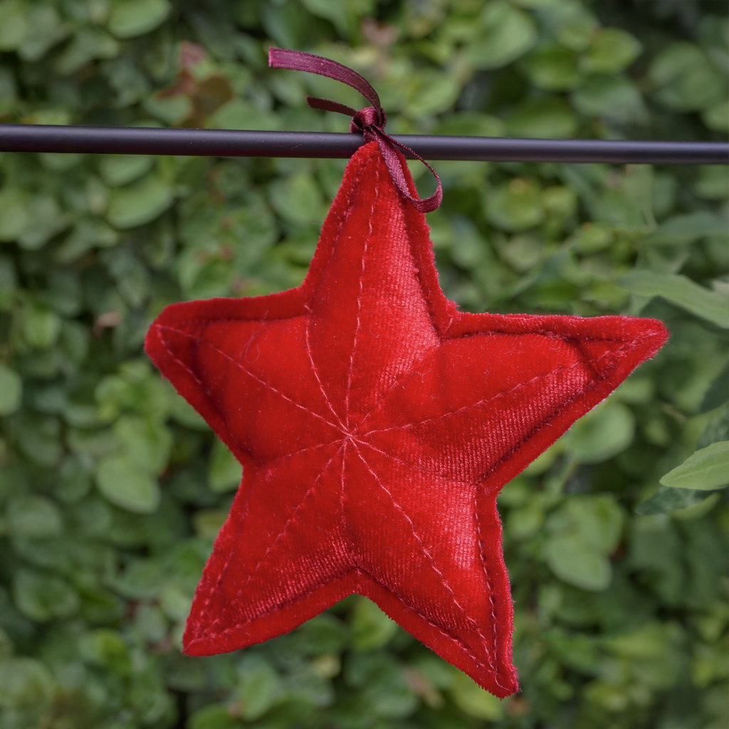 Navidad - Pino Fierro