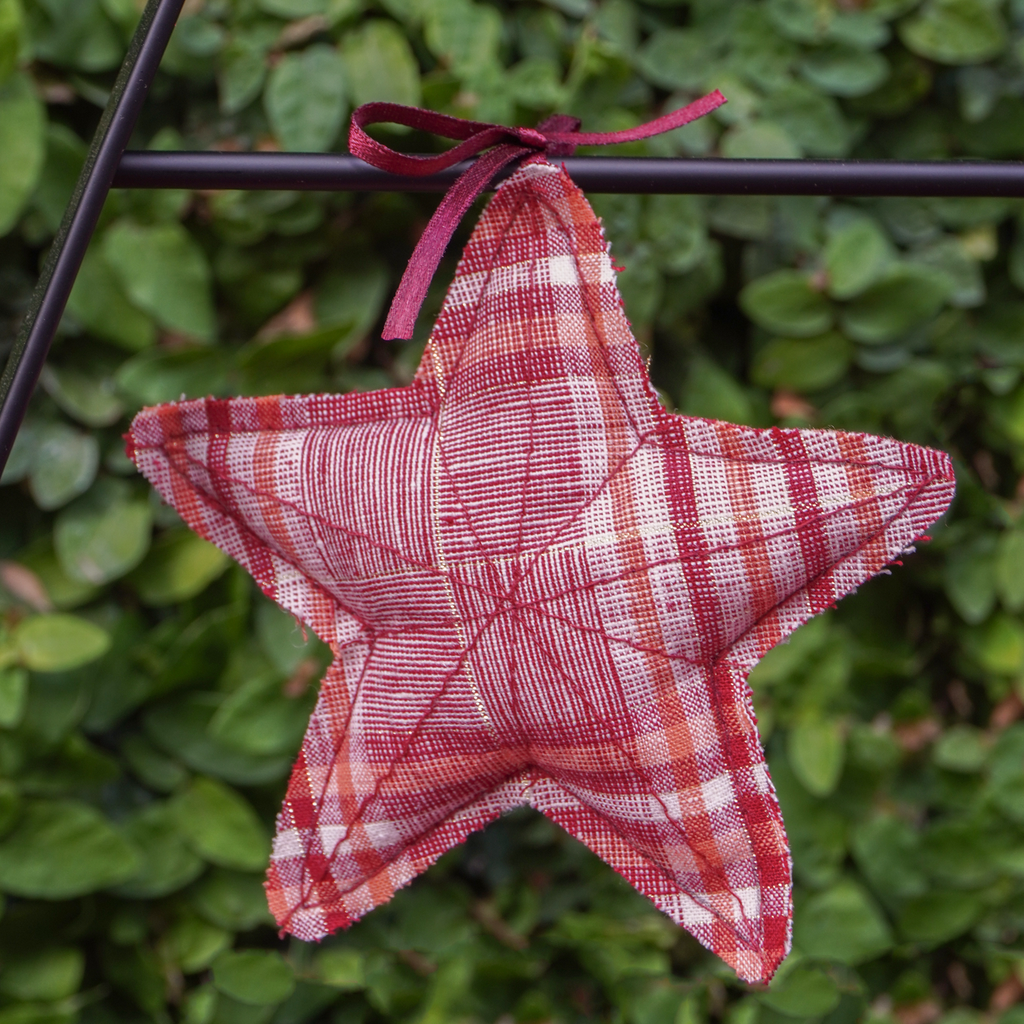 Navidad - Pino Fierro